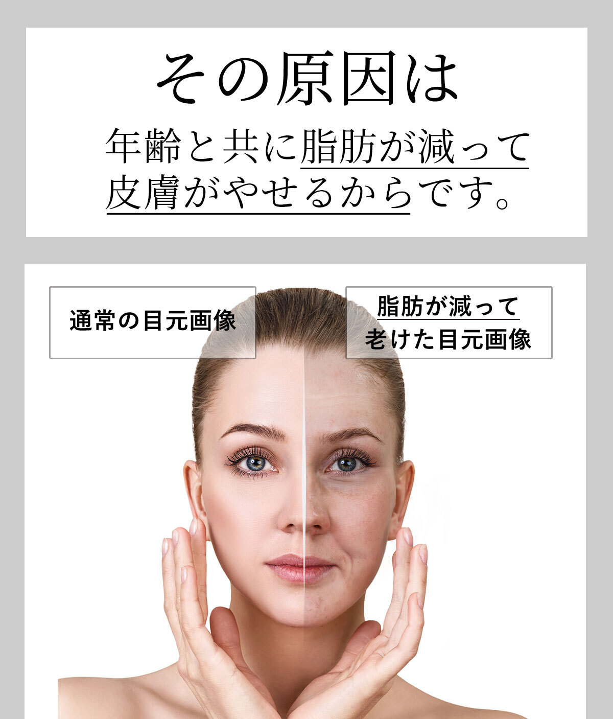プラチナハイフ プラチナハイフ